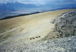 Spectacular high mountain views