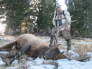 elk hunting