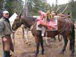 Loaded pack horse from successful elk hunt photo