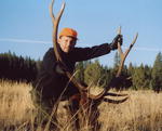 A beautiful bull elk